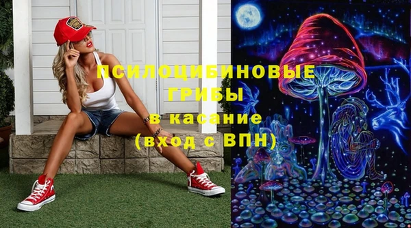 крисы Зеленодольск