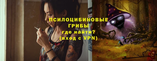 крисы Зеленодольск