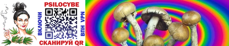Галлюциногенные грибы Magic Shrooms Сковородино